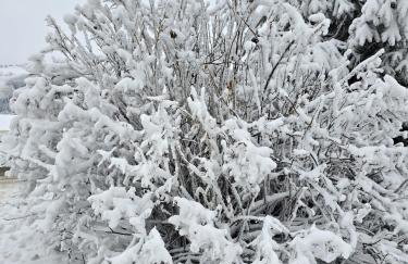 Chałpy Holiday - Foto 73