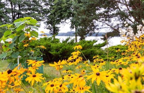 Apartment Głęboczek 21 by Interhome - Foto 47