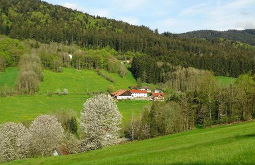 Ferienwohnung Lindenhof - Foto 59
