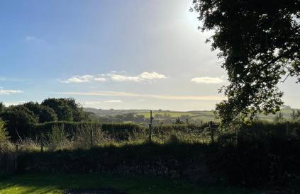 The Garden Room - A cosy country stay in Cornwall - Photo 21