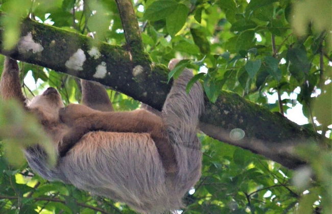 The Mango Tree Villas and Spa - Foto 55