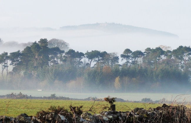 Larkhall Burn - Foto 27