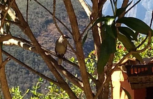 Temporada no Paraíso em Teresópolis - Foto 38