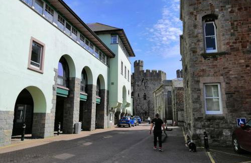 Lovely Stone Village cottage in Snowdonia - Foto 58