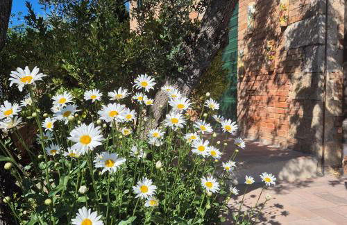 La Rosa Rossa - Foto 33