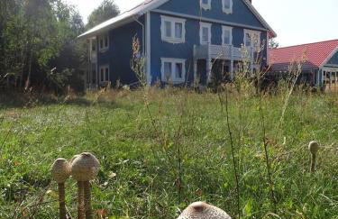 Uroczysko Sosnówka - Foto 23