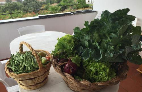 Holiday home Monte das Azinheiras - Foto 35