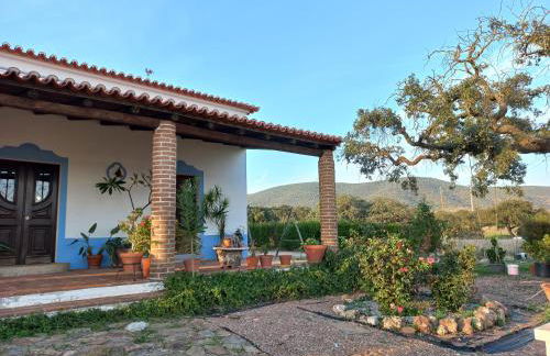 Aproveite o sabor do Alentejo - Foto 59