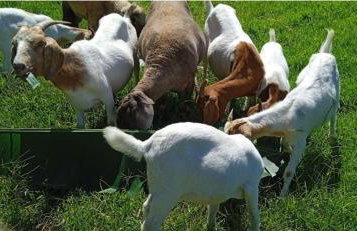 Hospedagem Zilz - Foto 60