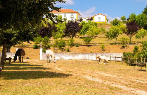 QUINTA DE SANT'ANA - Foto 17