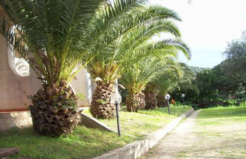 Villa del Palmeto - Foto 1