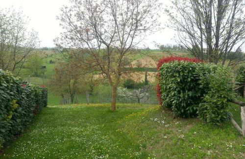 Casa intera tra le colline e le vigne del Dolcetto - Foto 29
