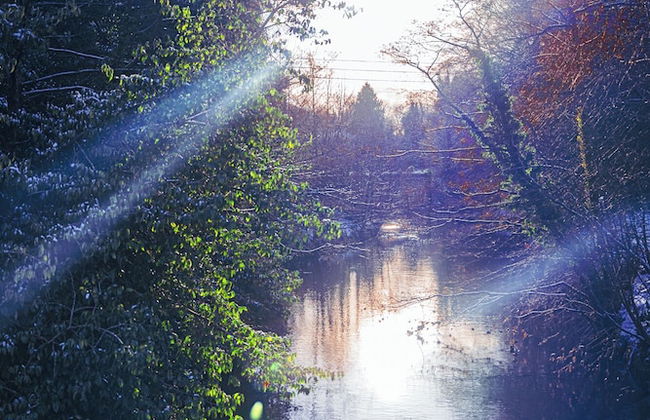 East Wing Apartment - Foto 42