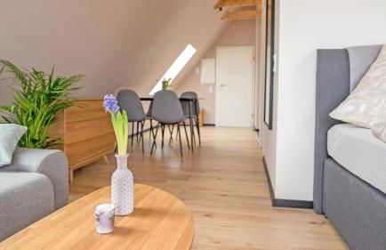 Ferienwohnungen Harzblick - Foto 54