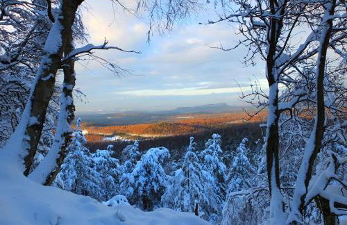 Waldhaus Bielatal - Foto 24