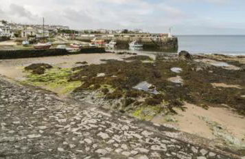 Adorable private couples retreat with hot tub - Photo 41