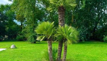 Venetian Hideaway - Villa Maria - Foto 5, Garden view