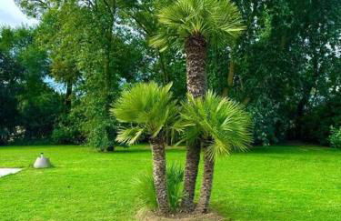 Venetian Hideaway - Villa Maria - Foto 5