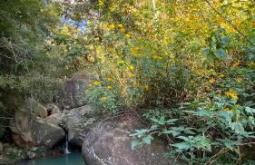 Chalé Laranja - Sítio Caldeirão - Foto 26