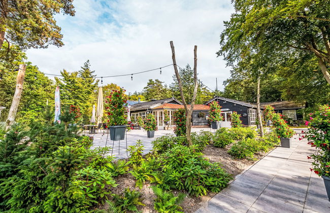 2 bedroom House in Dwingeloo with swimming pool and terrace - Photo 17