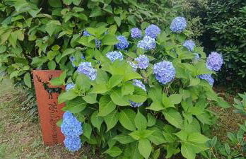 Ferienhaus Nordic Harmony - Foto 33