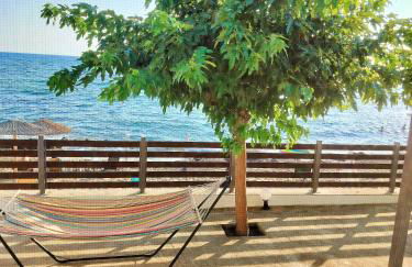 Beach front house at Agios Ilias Pyrgos Near Ancient Olympia - Photo 3