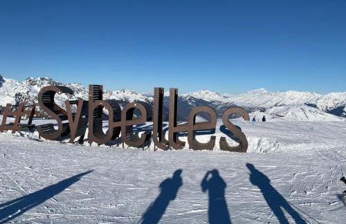 T1 La marmotte Saint Sorlin d'Arves - Photo 42