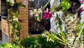 Refúgio de Paraíso - Foto 5