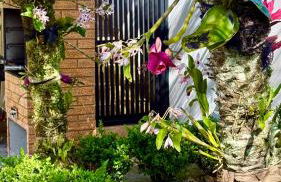 Refúgio de Paraíso - Foto 5