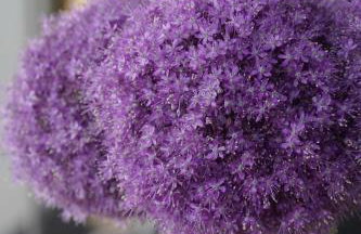 Dom w trawach - Foto 65