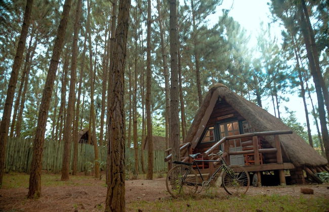 Nyungu Yamawe Forest Park - Foto 43