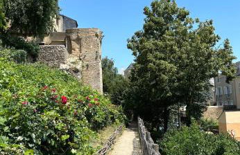 Appartement Vieux Mans - Foto 2