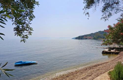 Albert's Place - Photo 17