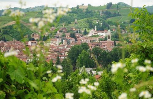 AleKS friendly house - Foto 51