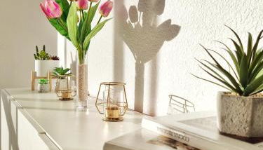 MAR y SOL, Retamar, Cabo de Gata - Foto 2