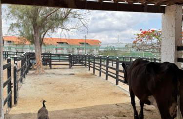 Villa Hípica Resort Flat 107 - Foto 25