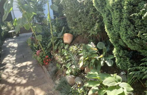 Gästehaus im Grünen - Photo 3