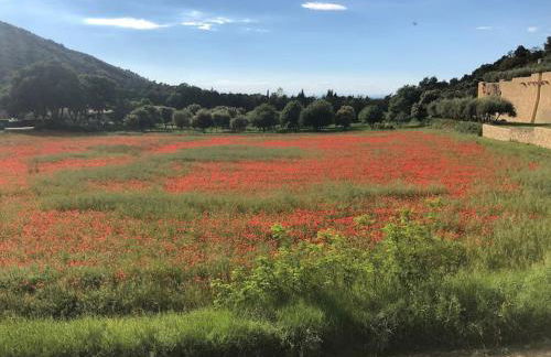 Villa de Minna - Foto 18