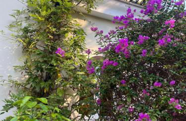 Numeroquattro- Light blue appartamento in Villa con giardino e piscina - Foto 5