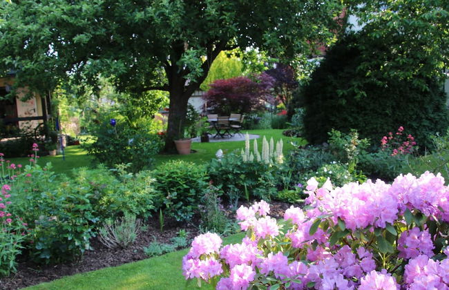 Cosy Apartment in the Harz Mountains - Foto 25