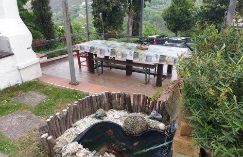 Ca' Olivella - Foto 18