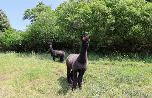 Upper Cottage - Photo 54