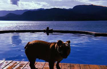 Magnífica Costeira - Foto 55