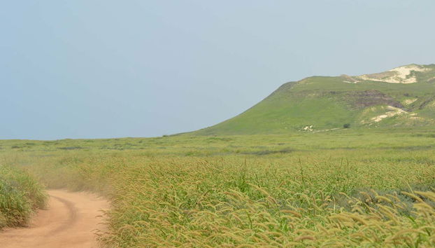 Sandboarding, Offroading, Turtle-Watching in Boa Vista's West Coast - Foto 5