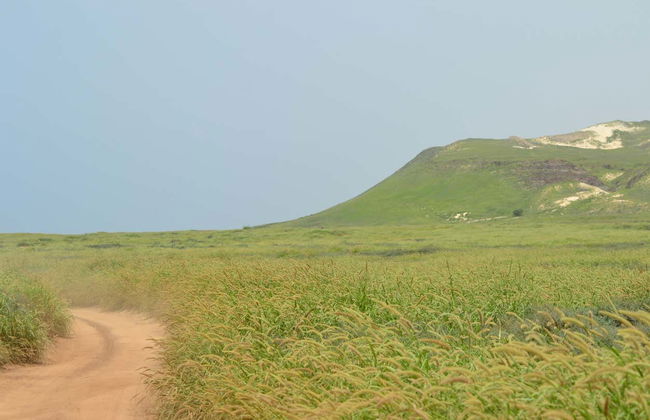 Sandboarding, Offroading, Turtle-Watching in Boa Vista's West Coast - Foto 5