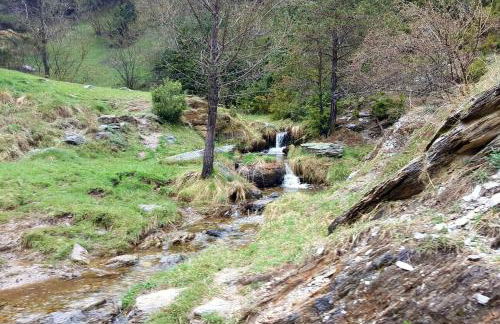 Les Forques de'n Pep - Foto 10