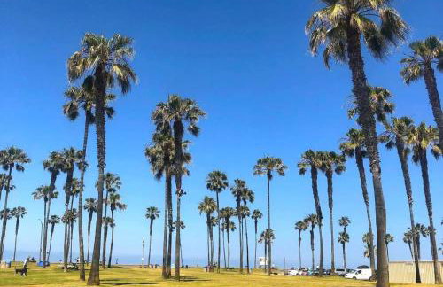 2 Free Bikes, Pvt Parking, Steps to Beach! South Mission Beach - Foto 22