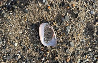 Lakefront Farmhouse for Family Gatherings - Foto 38