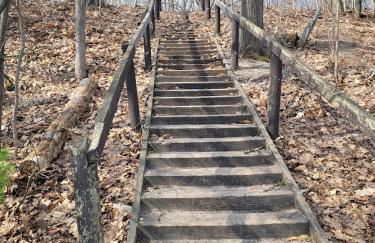 Grandma's House - Foto 33