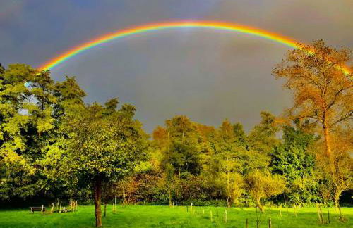 Ferienwohnung Friesenstube - Foto 42